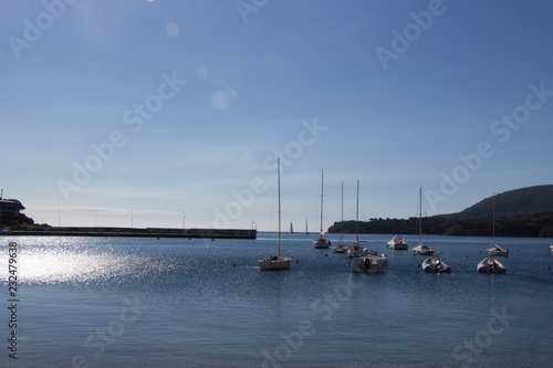 Marina with sailboats