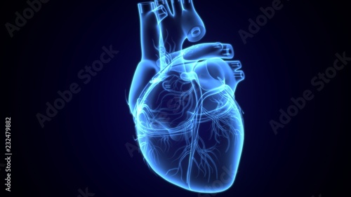 3d illustration of Lungs Anatomy - with detailed Alveoli - detailed view