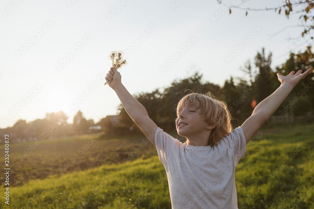 Carefree boy on the countryside in sunlight Carefree boy on the countryside in sunlight