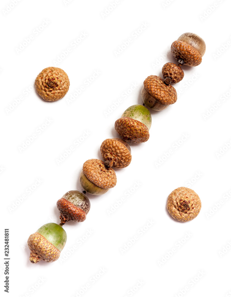 Percent sign is laid out of acorns Percent sign is laid out of acorns