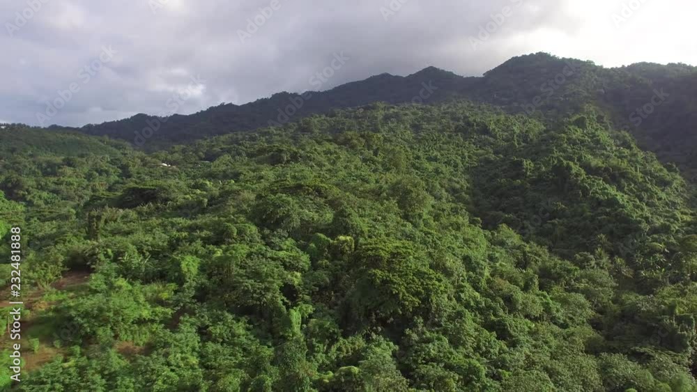 Mt. Makiling, Los Baños, Laguna, Philippines - November 21, 2017: Mountain reserve government protected rain forest replete with full grown trees. Drone aerial shot Mt. Makiling, Los Baños, Laguna, Philippines - November 21, 2017: Mountain reserve government protected rain forest replete with full grown trees. Drone aerial shot