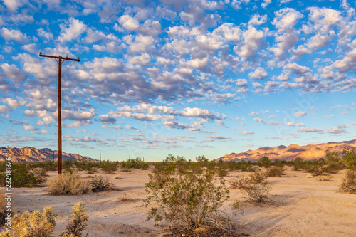 Early morning Californian desert landscape