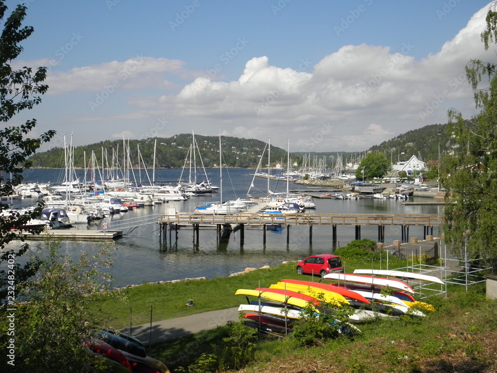 Obraz premium OLYMPUS DIGITAL CAMERA