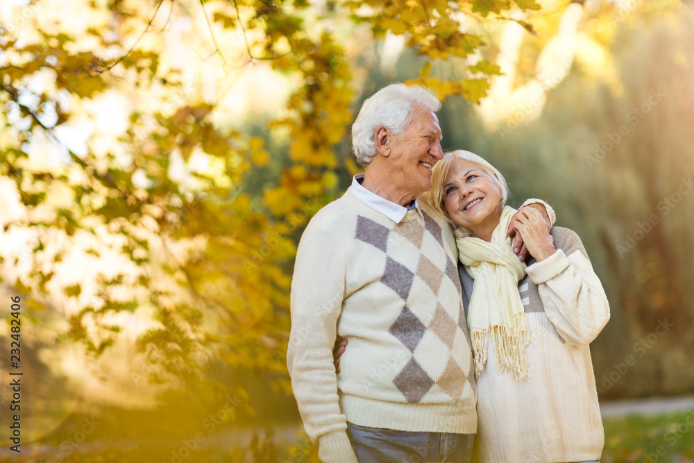 Senior couple in autumn park