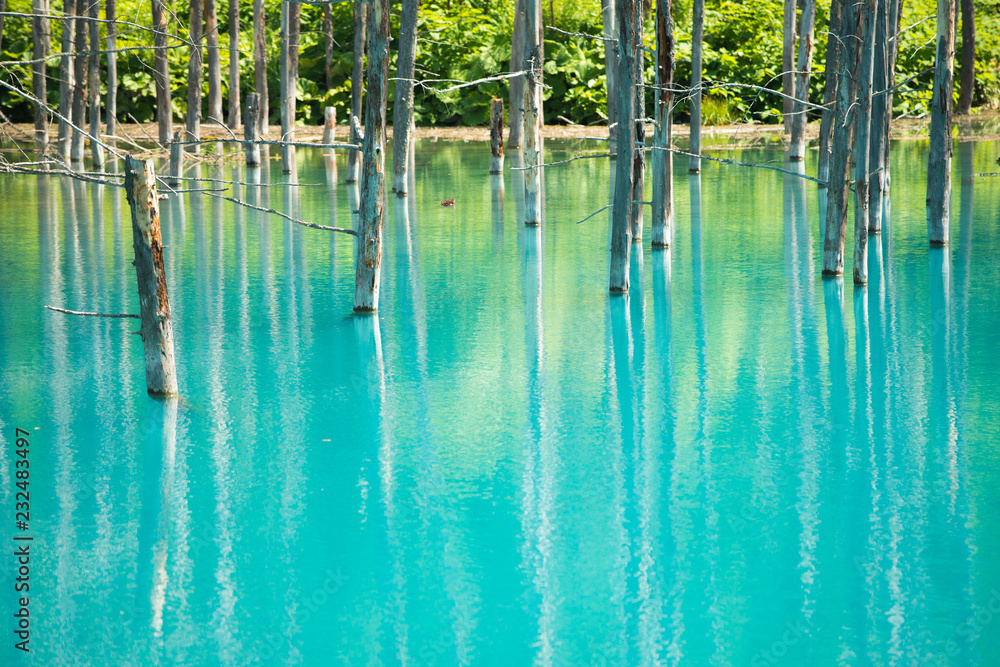blur pond 青い池