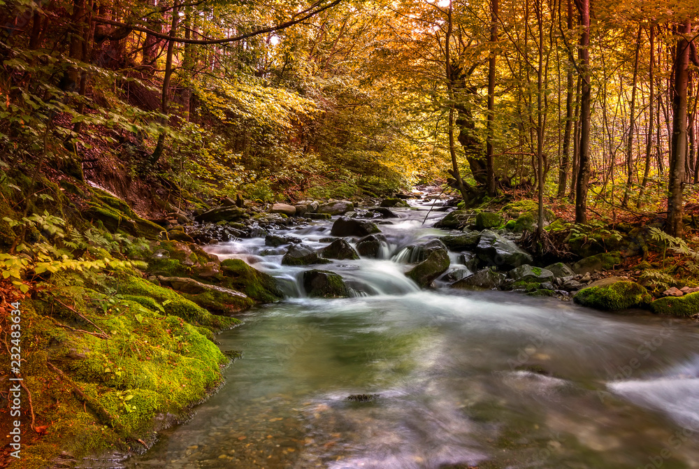 Beautiful autumn colors at the mountain river and colorful trees Beautiful autumn colors at the mountain river and colorful trees