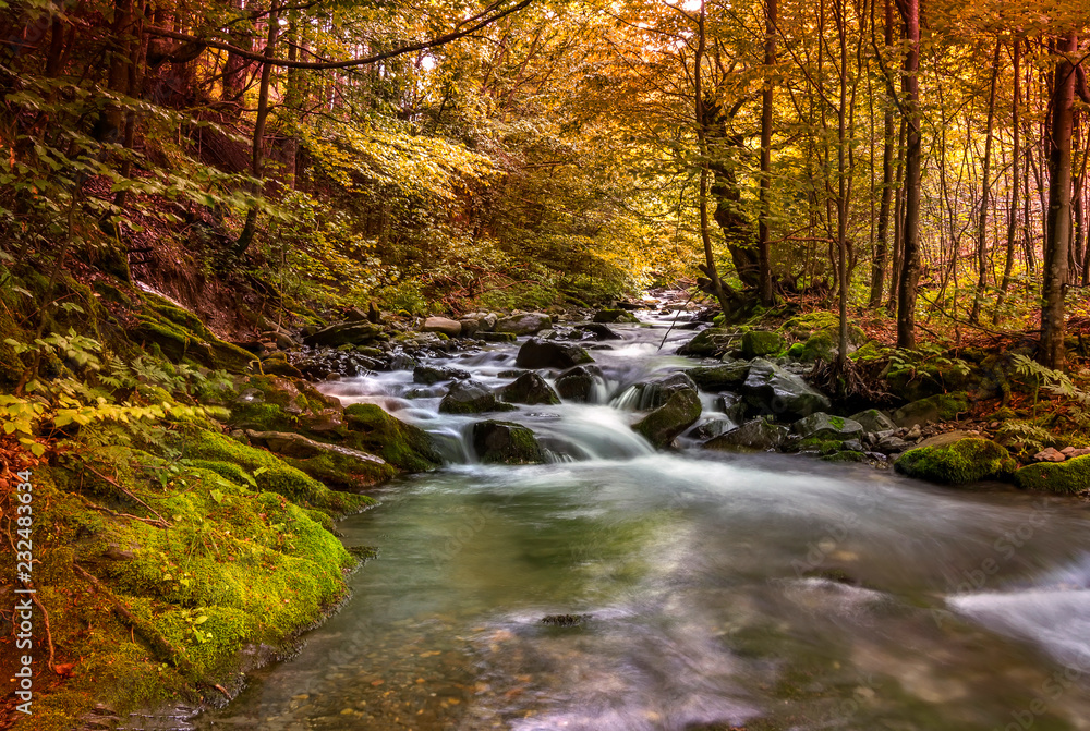 Beautiful autumn colors at the mountain river and colorful trees