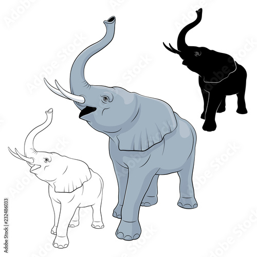 Elephant vector image