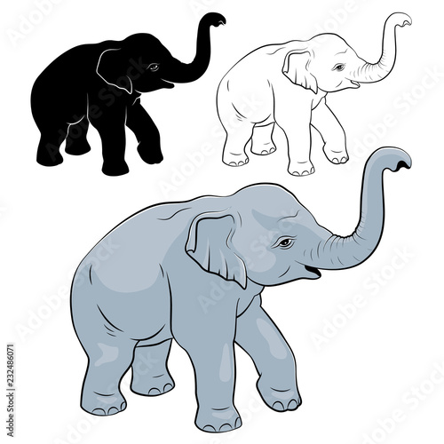 Little Elephant - vector image