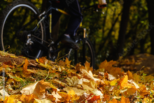Bike and autumn leaves. Bicycle on ground covered in fallen autumn leaves. © bravissimos