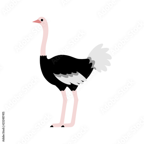 Ostrich Standing and Looking ahead, cute symbol style, simple design, black, gray and pink color.