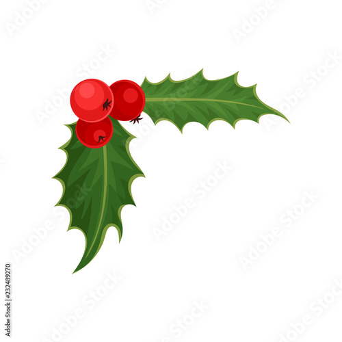 Holly with red berries and green leaves. Traditional Christmas symbol. Nature and botany theme. Flat vector icon