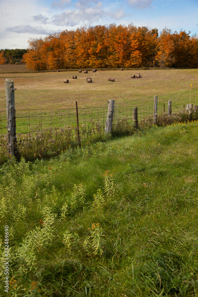 Fototapeta premium Beautiful Fall colours of Ontario's countryside, Bellfountain, Ontario, Canada. 