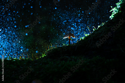 Rainy day in the autumn forest with falling raindrops and shiny water drops on a lighted mushroom