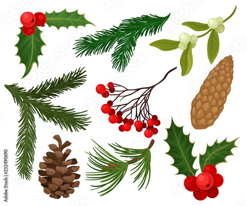 Flat vector set of Christmas plants. Holiday symbols. Holly berries, pine or fir cones, branch of mistletoe and coniferous trees
