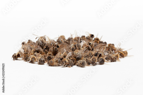 Apiculture - disparition des abeilles