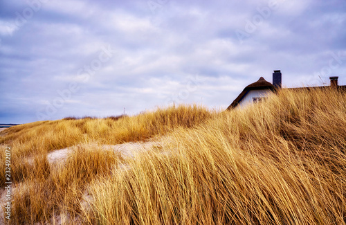 Fototapeta Naklejka Na Ścianę i Meble -  Panorama from the house behind the dunes at the Baltic Sea.