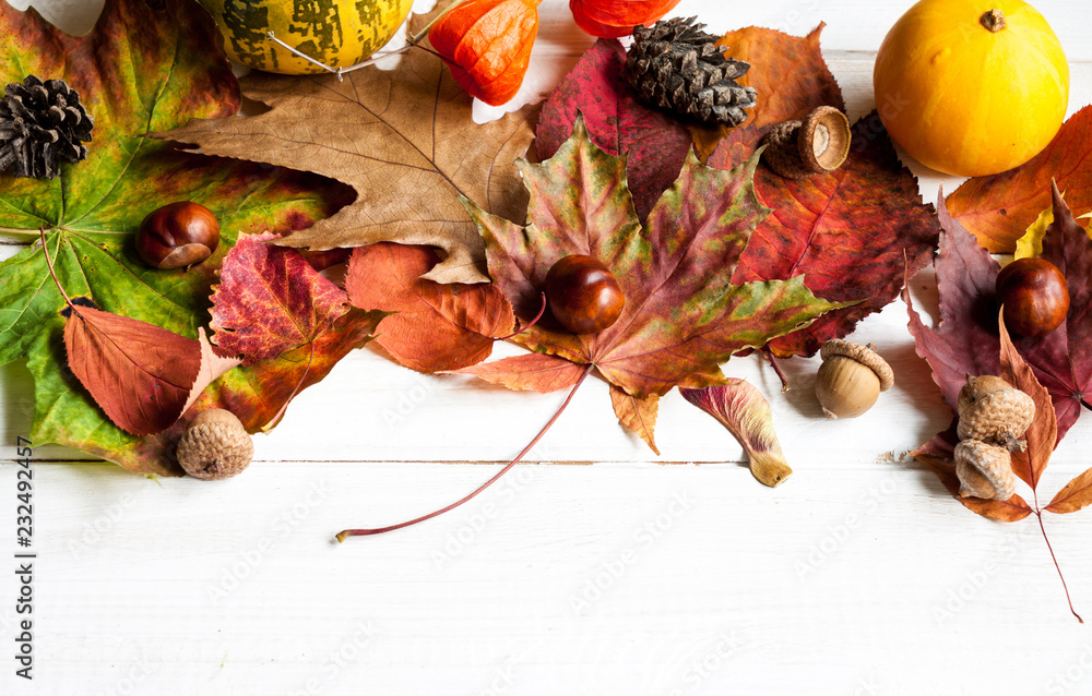 Autumn leaves and fruits. Autumn leaves and fruits.