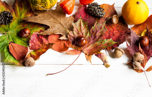 Autumn leaves and fruits.