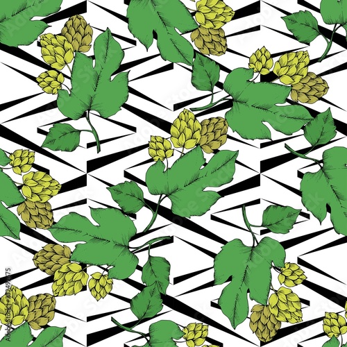 Vector. Black and white engraved humulus ink art. Green leaf. Leaf plant