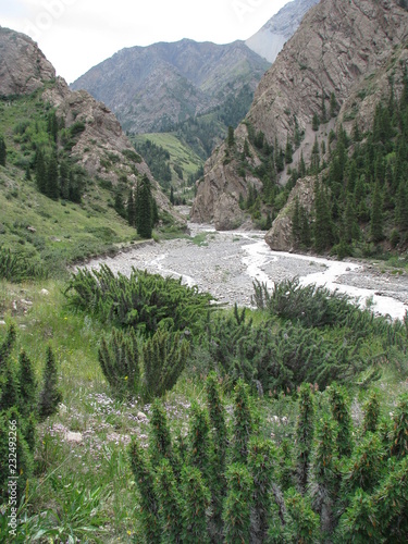 mountain landscape with river