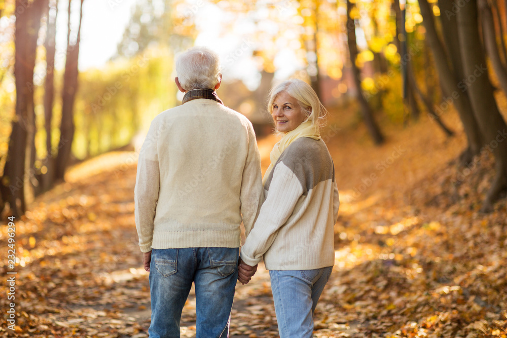 Fototapeta premium Senior couple in autumn park