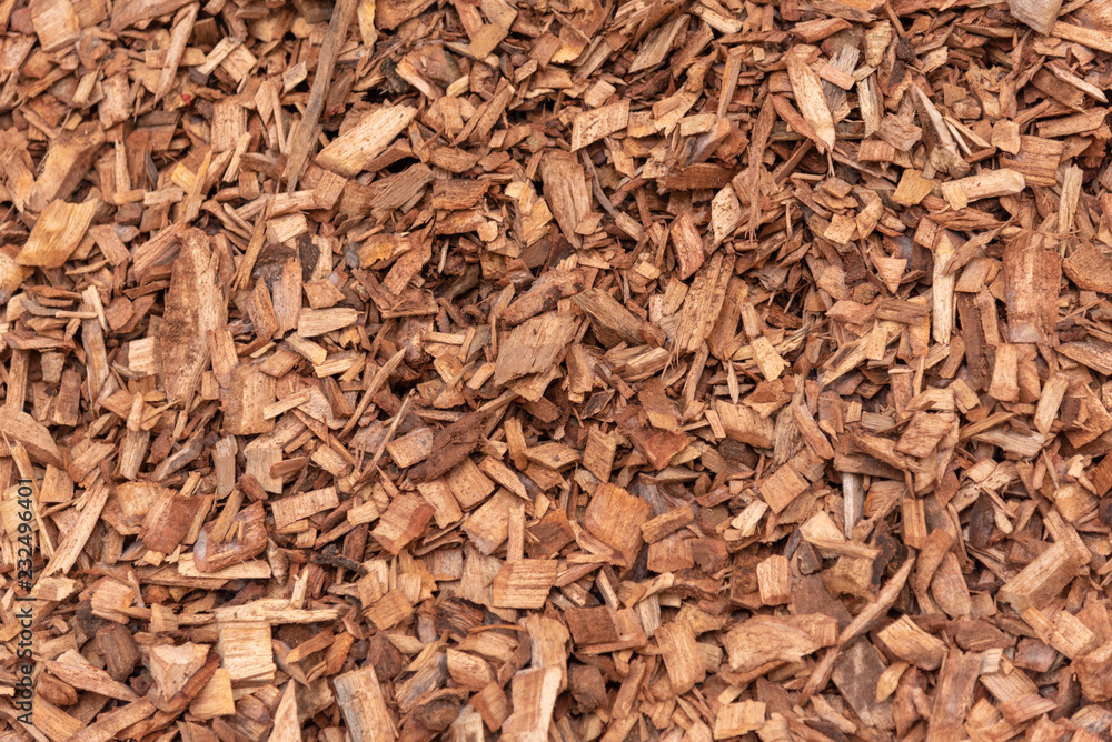 Sawdust wood background Sawdust wood background