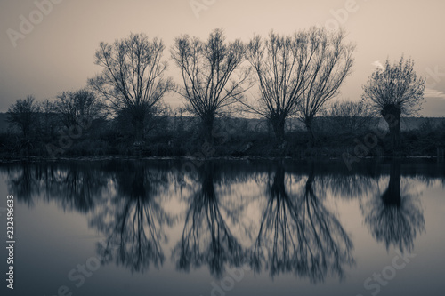 Willows and refleciotn on the Habdzin lake near Konstancin-Jeziorna, Masovia, Poland