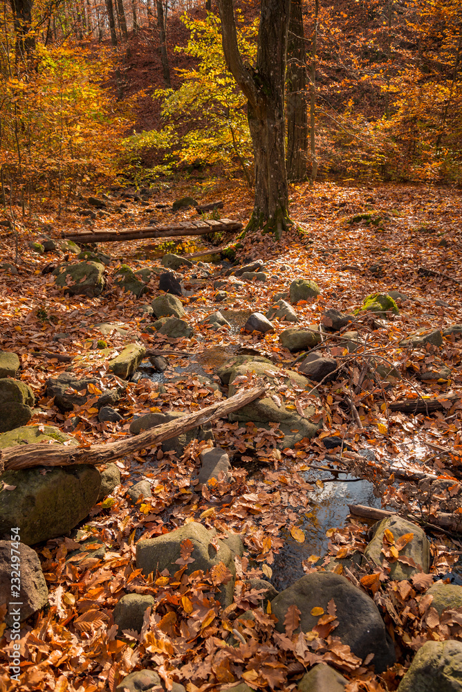 beautiful autumn nature scenes in Hungary on hiking trails beautiful autumn nature scenes in Hungary on hiking trails