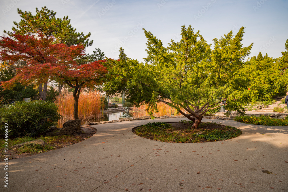 beautiful vivid autumn colors in Japanese garden at Margaret Island Budapest beautiful vivid autumn colors in Japanese garden at Margaret Island Budapest