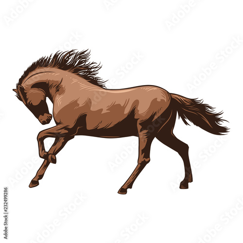 Horse Vector Illustration. Beautiful Horse racing