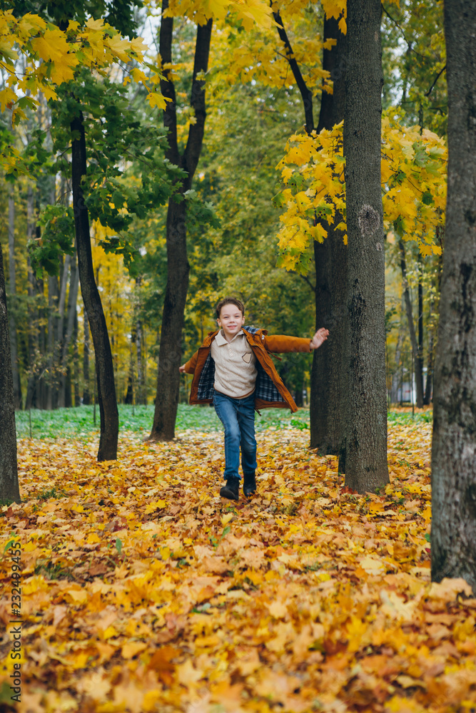 Cute boy walks and poses in a colorful autumn Park Cute boy walks and poses in a colorful autumn Park