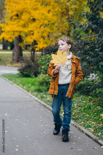 Cute boy walks and poses in a colorful autumn Park