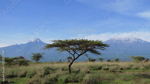 Landschaft am Kilimandscharo, Kenia