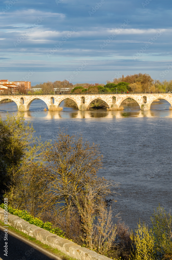 Fototapeta premium Old stone bridge in Zamora, Spain