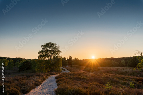 Westruper Heide - sunset