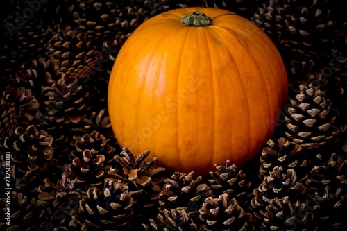 Pumkin harvest  fall autumn