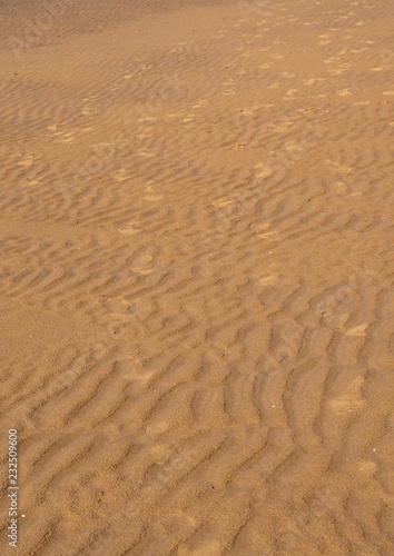 Prints and patterns in the sand on the beach