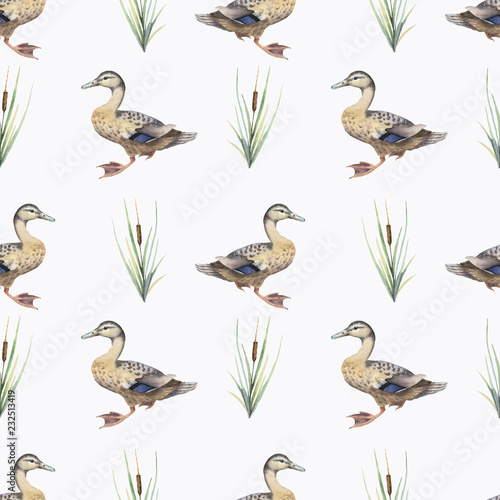 Seamless pattern with watercolor wild ducks and plants