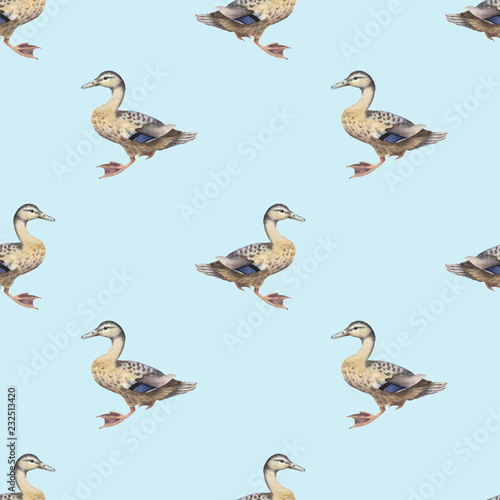 Seamless pattern with watercolor wild ducks
