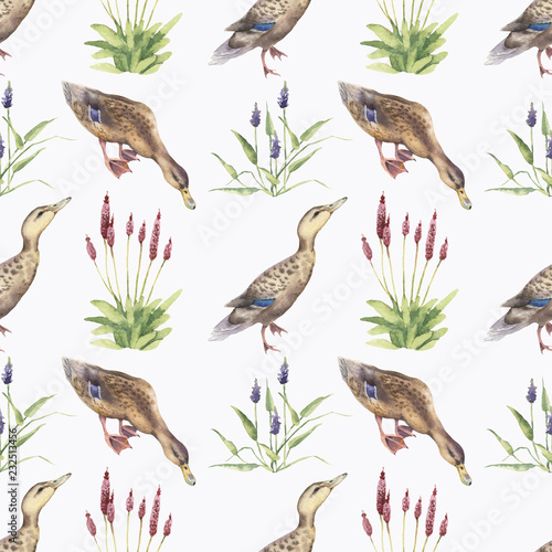 Seamless pattern with watercolor wild ducks and plants © Viktoria