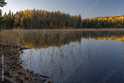 Calm lake in the morning with little fog and reflections in the water, picture from the Northern Sweden.