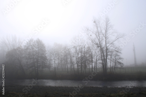 trees on the river bank in the fog in autumn