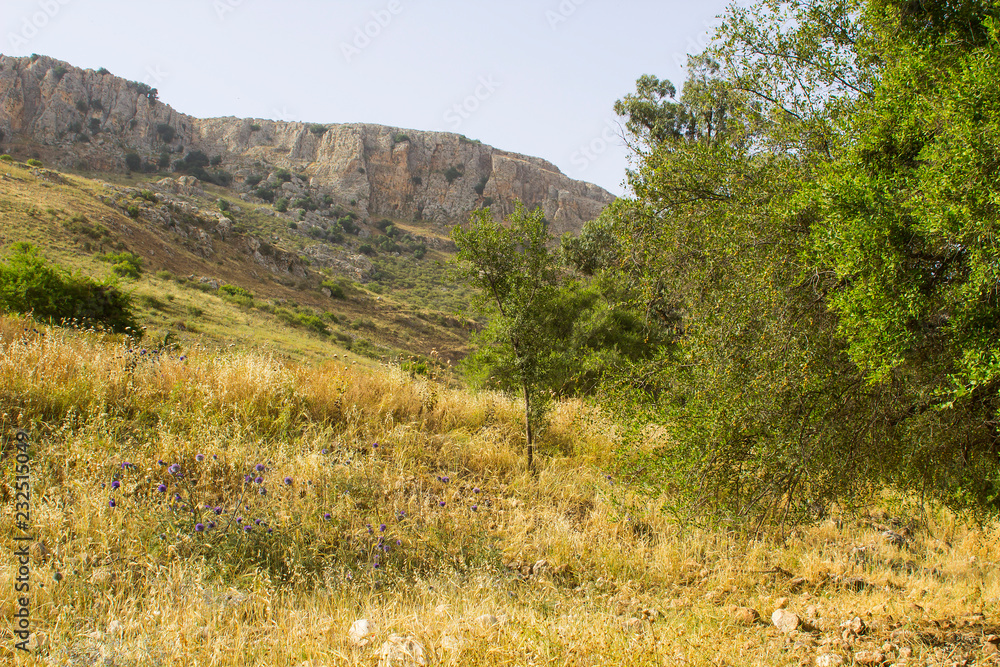 The Valley of The Doves in the Arbel Nature Reserve in Israel