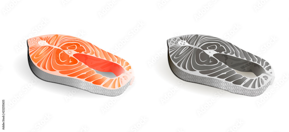 Freash salmon fish raw steak. Sea food vector illustration for your market prices, commercial needs, menu. Freash salmon fish raw steak. Sea food vector illustration for your market prices, commercial needs, menu.