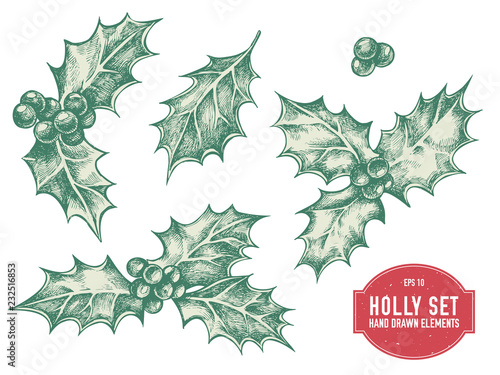 Vector collection of hand drawn holly