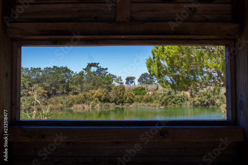 landscape lake with trees and blue sky in National Park Ria Formosa in Algarve, Portugal