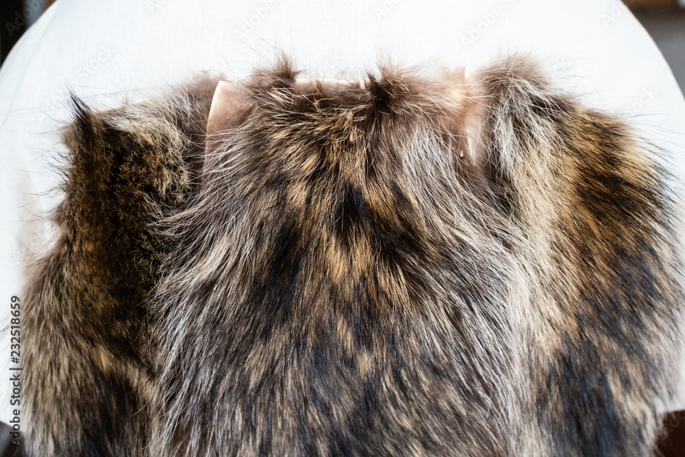 fur pelts stitched to the coat layout on mannequin