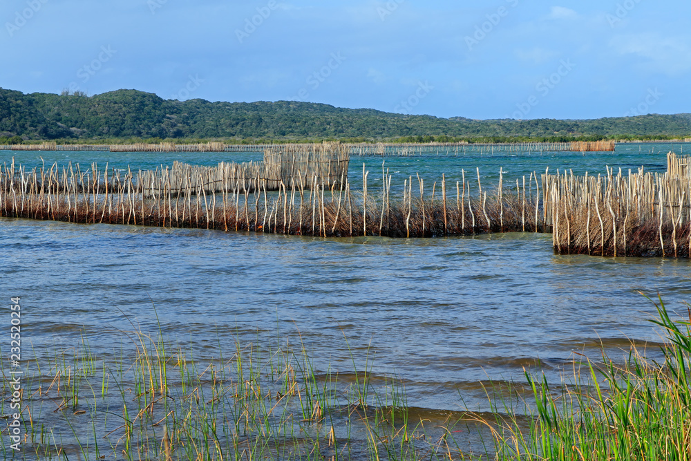Traditional Tsonga fish traps built in the Kosi Bay estuary, Tongaland, South Africa. - obrazy, fototapety, plakaty 