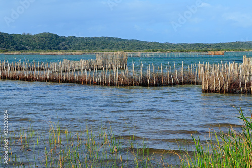 Traditional Tsonga fish traps built in the Kosi Bay estuary, Tongaland, South Africa. photo